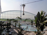 Einzug von 30 riesigen Königspalmen und anderen exotischen Pflanzen am 15.03.2007 (Foto: Therme Erding)